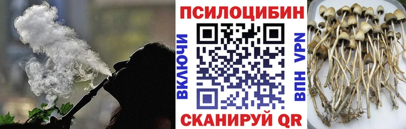 kraken ссылки Приморско-Ахтарск Псилоцибиновые грибы MAGIC MUSHROOMS