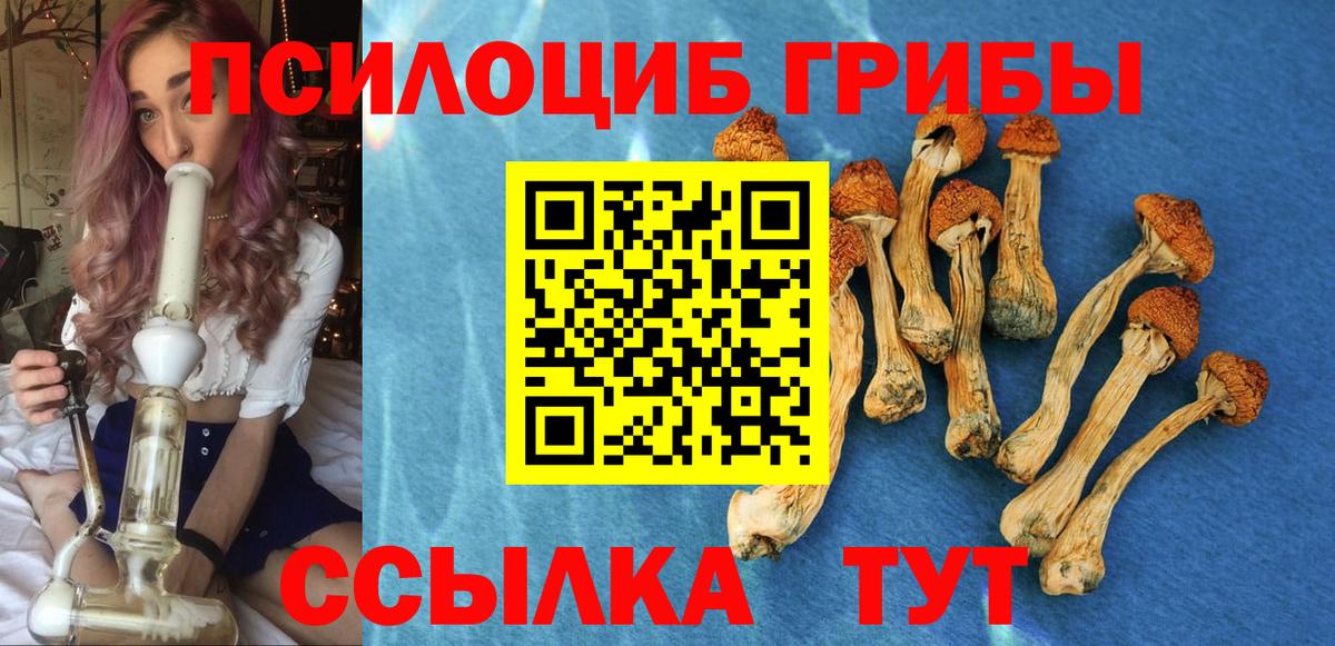 Галлюциногенные грибы Cubensis Приморско-Ахтарск