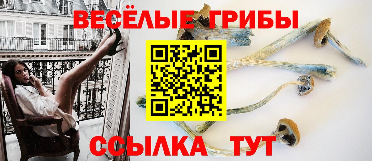 Галлюциногенные грибы Cubensis  как найти закладки  Вход с VPN  Приморско-Ахтарск  Галлюциногенные грибы ЛСД 